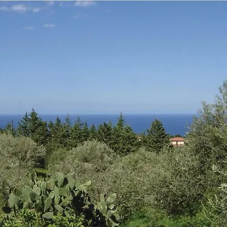 Donna Melania House Holiday home *